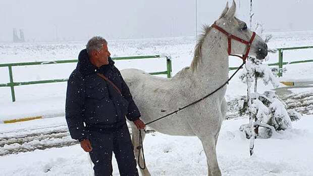 скакун