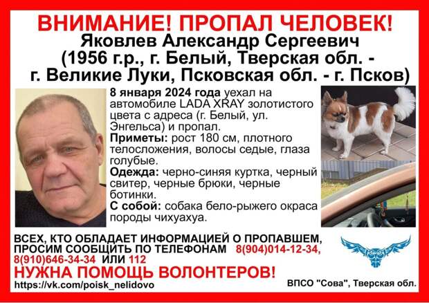 В Тверской области пропал пенсионер с собакой