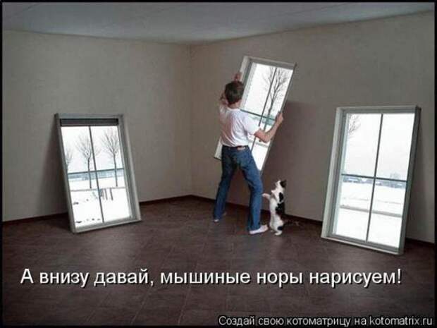 Котоматрицы(картинки с надписями)