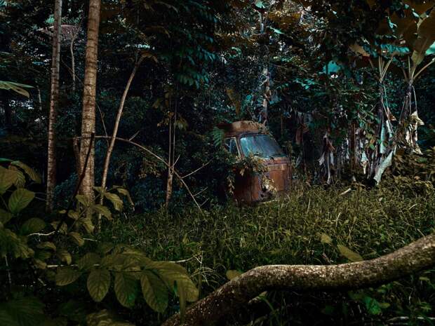 Фотография: Брошенные тачки в гавайских джунглях: фотопроект Томаса Строгальски №8 - BigPicture.ru