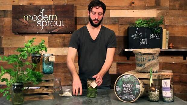 Сад в бутылке от Modern Sprout Сад в бутылке от Modern Sprout