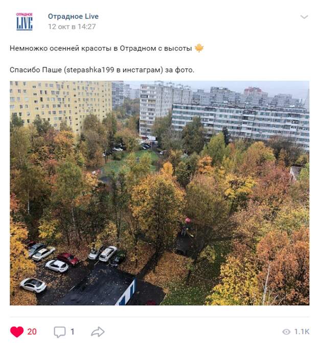 Фото дня: осенняя красота в Отрадном