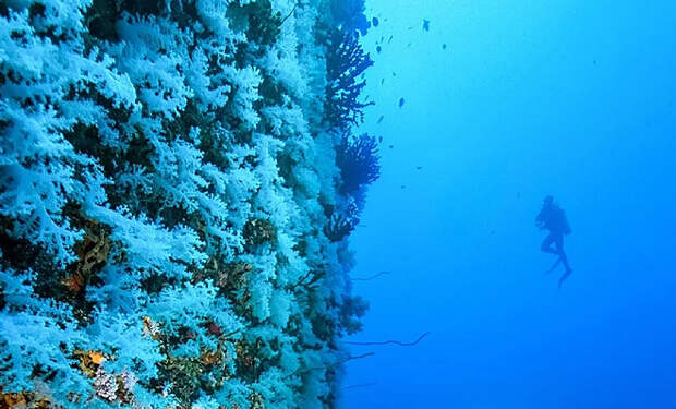 Несколько лет назад на спутниковых картах нашли гигантсвую стену в океане. Теперь люди заметили, что ее стирают с карт