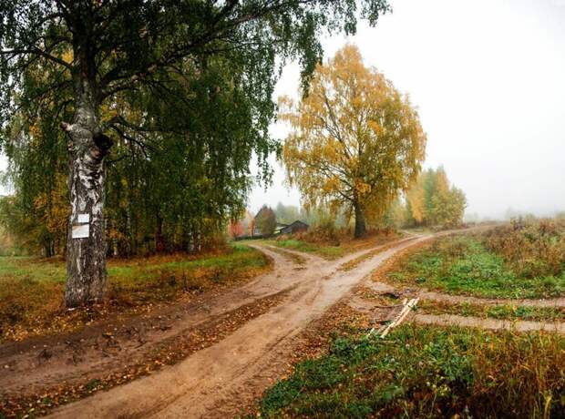 Красота сельских дорог дороги, природа, село