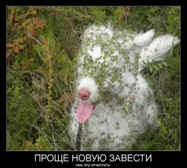 Прикольные демотиваторы на утро (11 фото)
