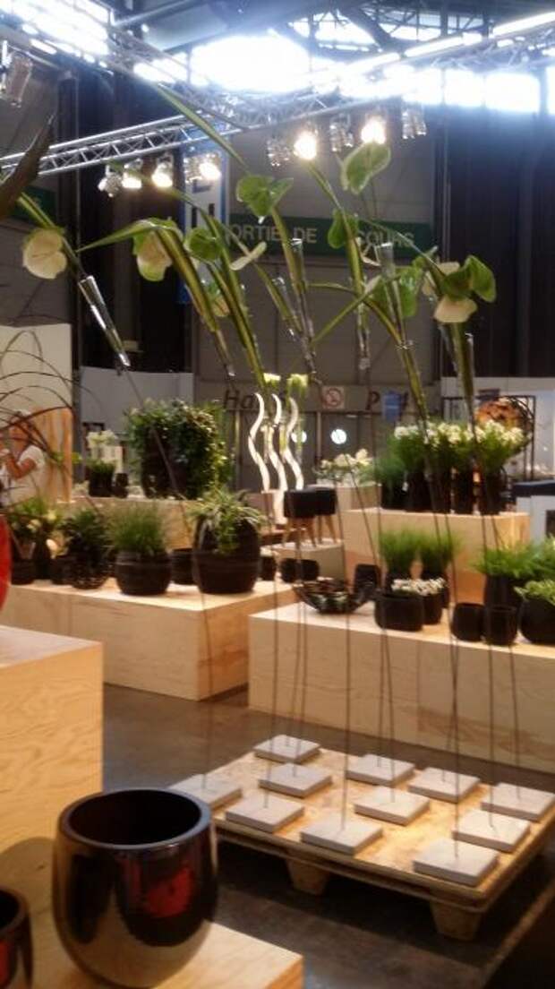 Парижская выставка MAISON&OBJET, 5-9 сентября 2014г. Парижская выставка MAISON&OBJET, 5-9 сентября 2014г.