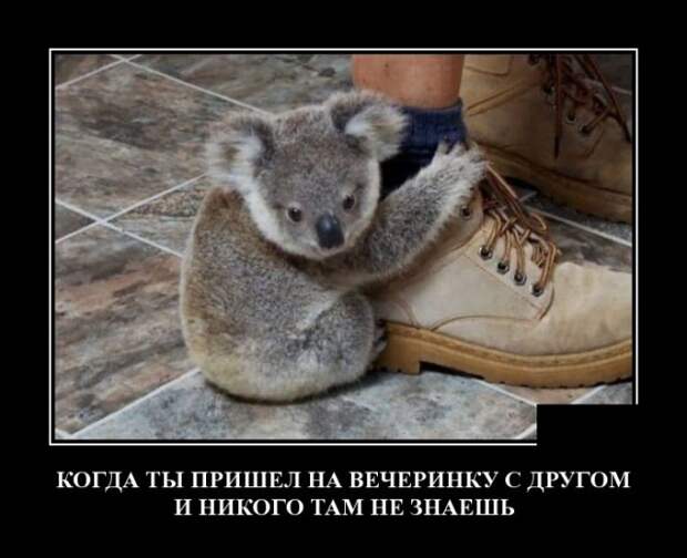 Демотиваторы (30 фото)