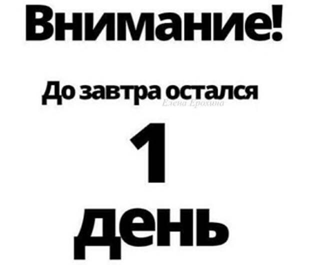 Курица перешла границу!