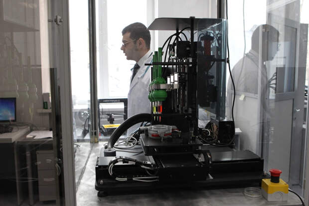 Русские ученые научились "перезагружать" нервную систему