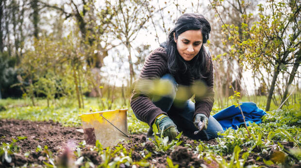 Почему не нужно перекапывать грядки весной