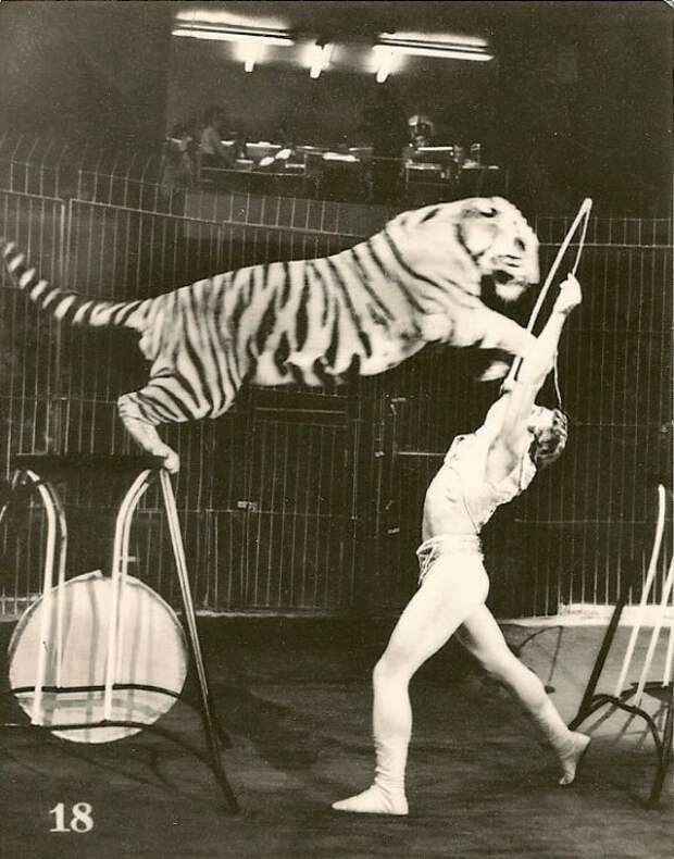 Советский цирк (17 фотографий), photo:17