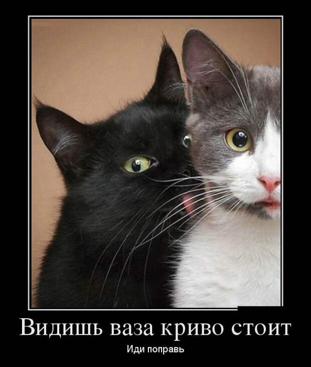 Демотиваторы (30 фото)