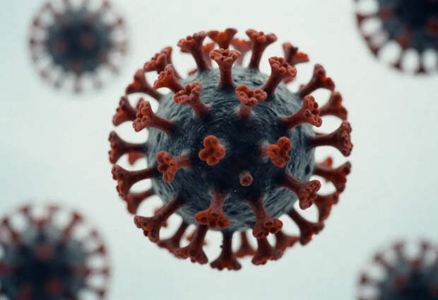 Новый вирус-невидимка летучих мышей начал заражать людей