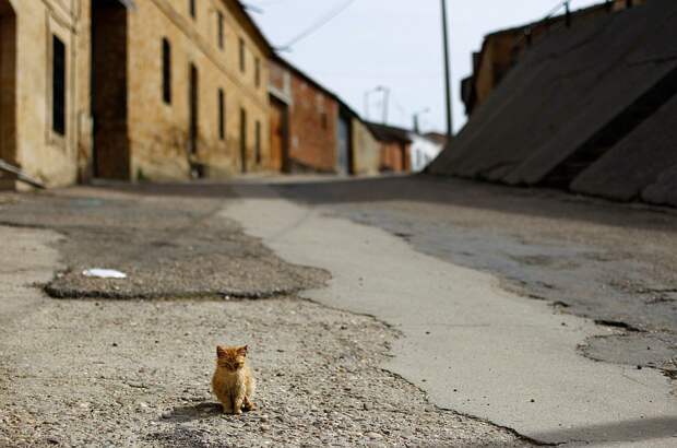 Опустевший мир в фотографиях