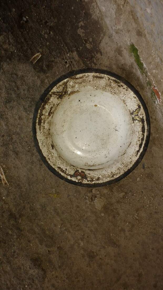 Еще и мисочку в сумку положила, видать из нее она кормила кошек. ...