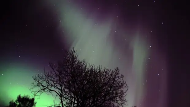 Физик Васильев назвал причины полярного сияния в Иркутской области