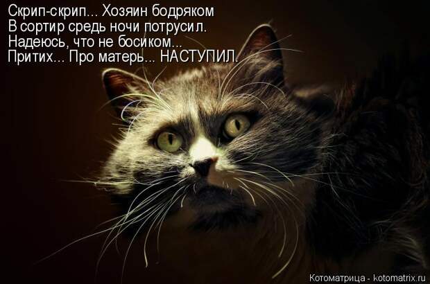 Котоматрица: Скрип-скрип... Хозяин бодряком В сортир средь ночи потрусил. Надеюсь, что не босиком... Притих... Про матерь... НАСТУПИЛ.