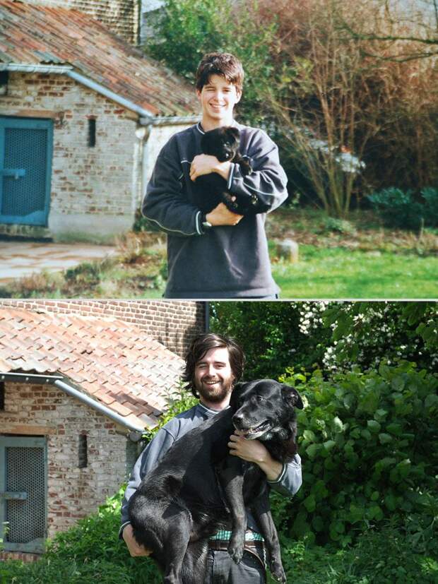 pets-before-after-1