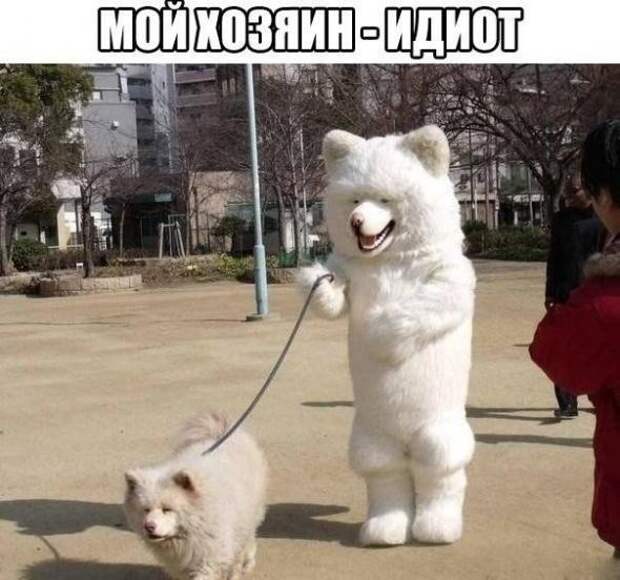 Картинки, юмор, приколы