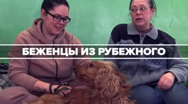 «Это и есть тот предел»: почему в Европе заговорили о трудностях приёма беженцев с Украины