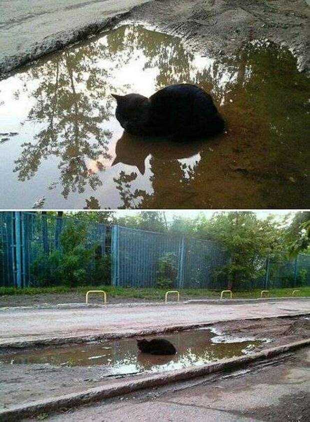 Фотографии с юмором и приколами Фотографии с юмором и приколами