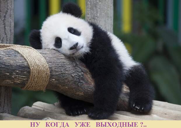 ВИннЕГРЕТ 62 ВИннЕГРЕТ 62