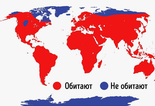 17 карт, которые открыли нам несколько захватывающих фактов об этом мире