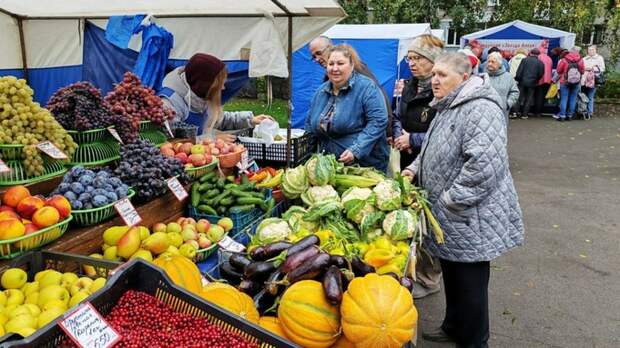 Продовольственные ярмарки в Барнауле собрали 4,1 млн рублей