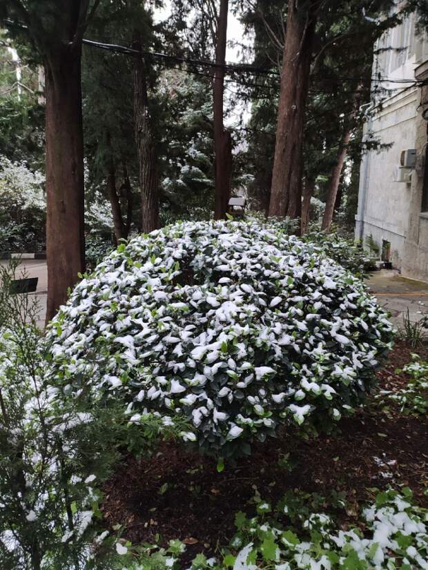 Ялта сегодня