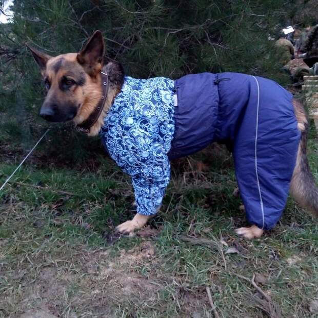 Подборка прикольных картинок