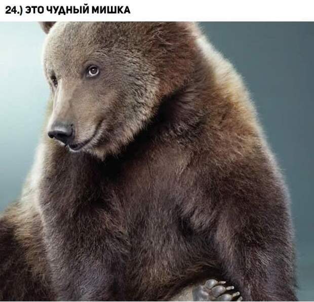 Прикольные и просто красивые картинки