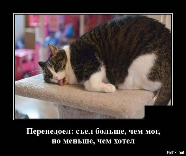 b5bb1ea9f1cd86024dd1c7872d35c6e1 (640x536, 155Kb)
