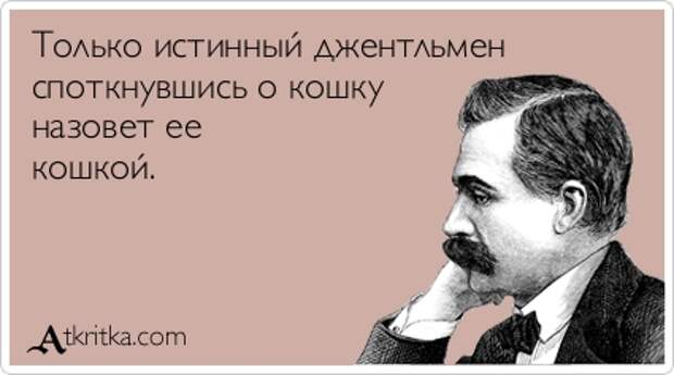 Только истинный джентльмен споткнувшись о кошку назовет ее кошкой. 