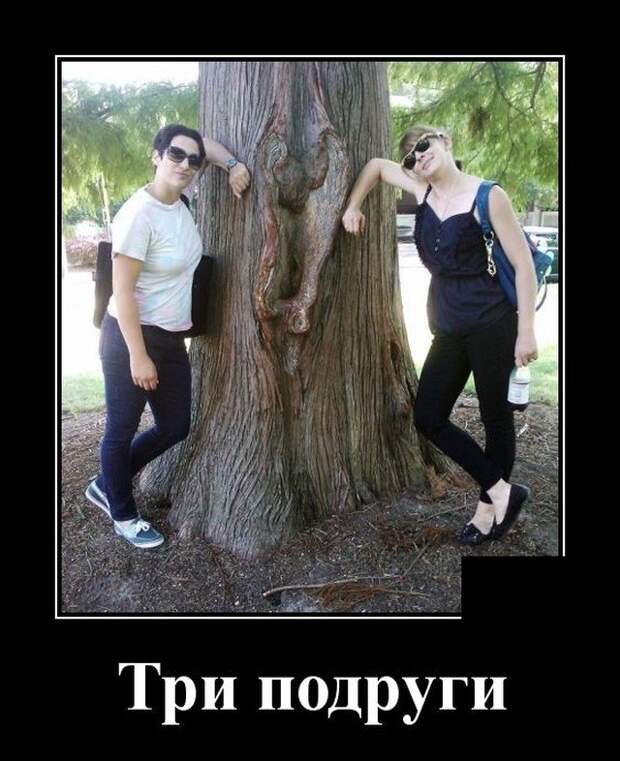 Демотиваторы Демотиваторы