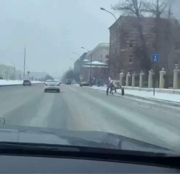 Сбежавшая с ипподрома лошадь проскакала по московскому шоссе (ВИДЕО)