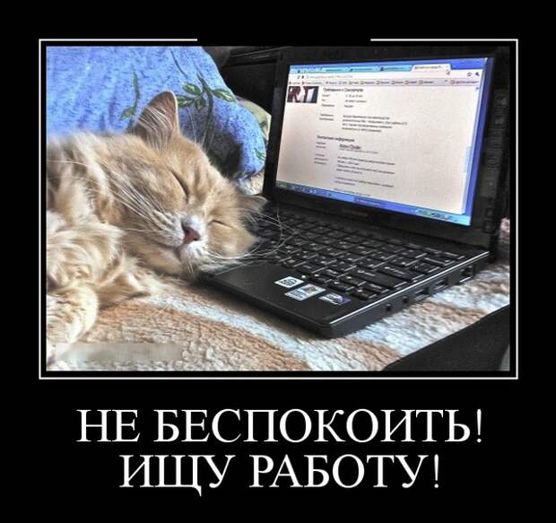 Демотиваторы (30 фото)