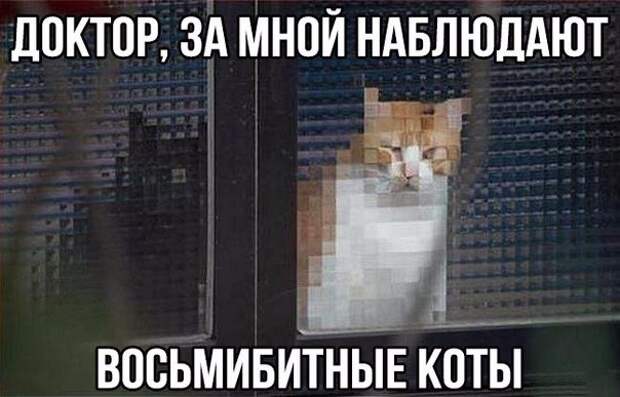 Прикольные картинки. Дневной выпуск (65 фото)