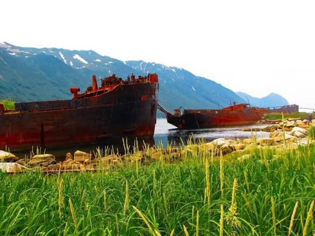 Вслед за мечтой! Морская прогулка в Бухту Русскую