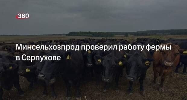 Минсельхозпрод проверил работу фермы в Серпухове