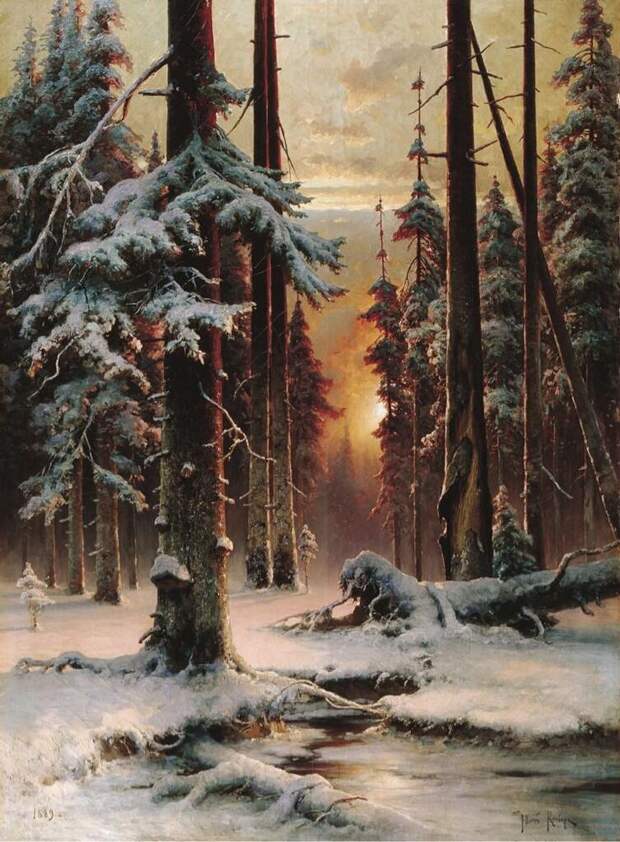 Картинки по запросу ю клевер зимний закат в еловом лесу
