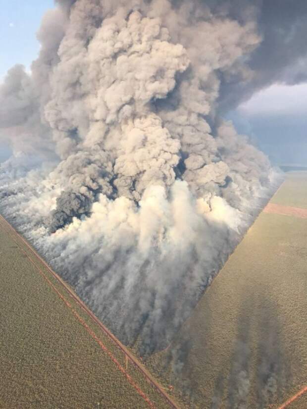 Яркие и красочные фотографии из нашей жизни