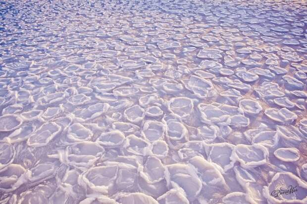 Исландский фотограф Дэвид Мар Сигурдсон сфотографировал льды на море.