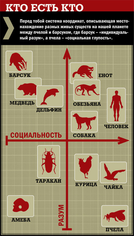 Почему один и тот же человек ведет себя то как альтруист, то как сволочь