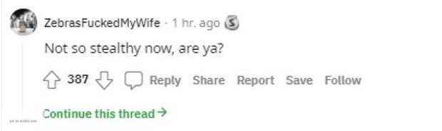 Самолет-невидимка США случайно попал на карты Google и насмешил пользователей Сети