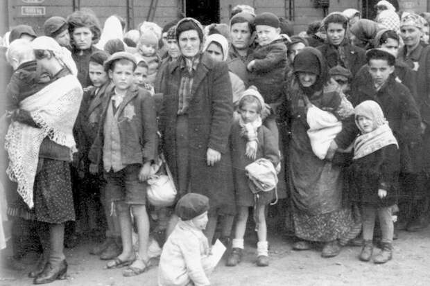 Самые ужасные и кровавые геноциды ХХ века война, геноцид, история
