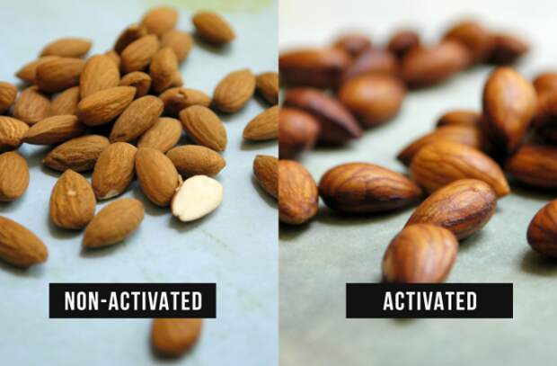 Почему вы должны «активировать» орехи и семена и как это сделать
