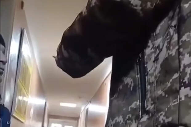 На Украине уклонисты живут на работе, прячась от ТЦК