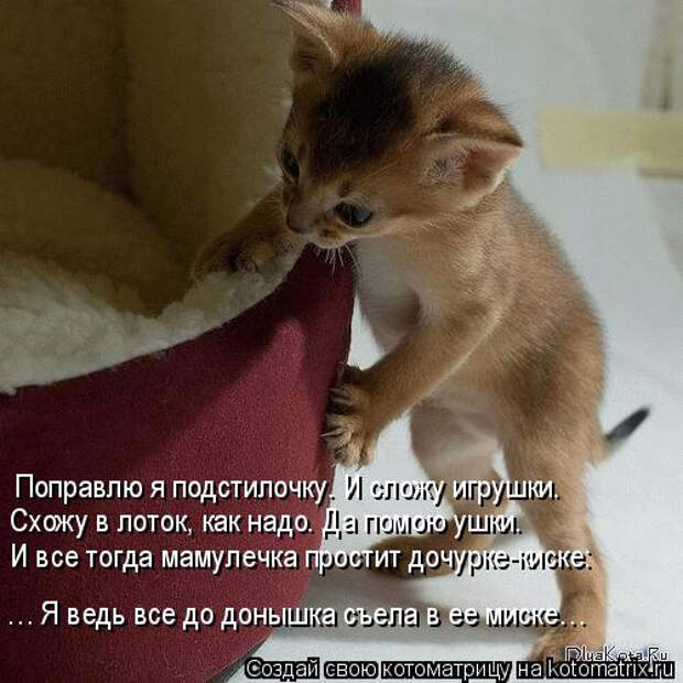 kotomatritsa_A (500x500, 198Kb)