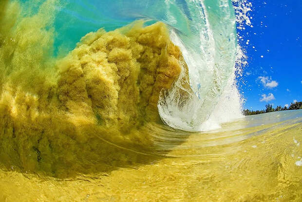 wave02 Самые красивые гавайские волны от Кларка Литтла