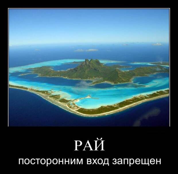 Демотиваторы (26 фото)